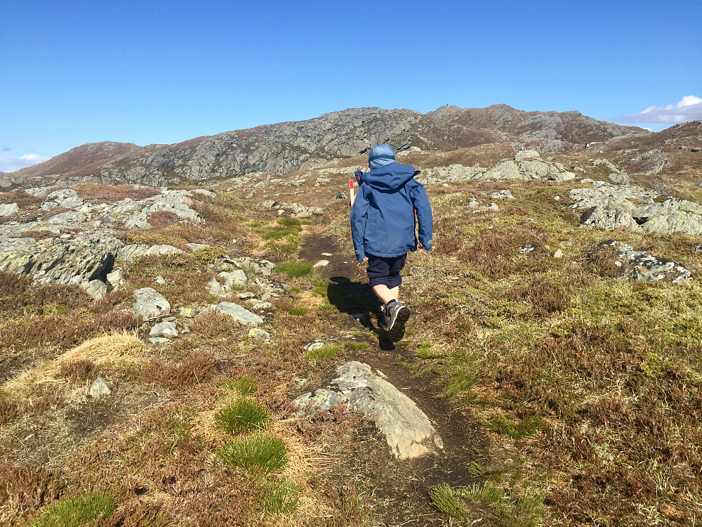 Lett jogg mot toppen
