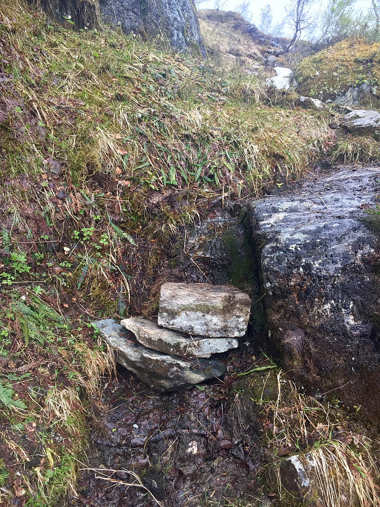 Pleier rett som det er å legge opp steiner på stien oppover mot nibba. I dag fant jeg et kjempegodt element og var staselig fornøyd :-)