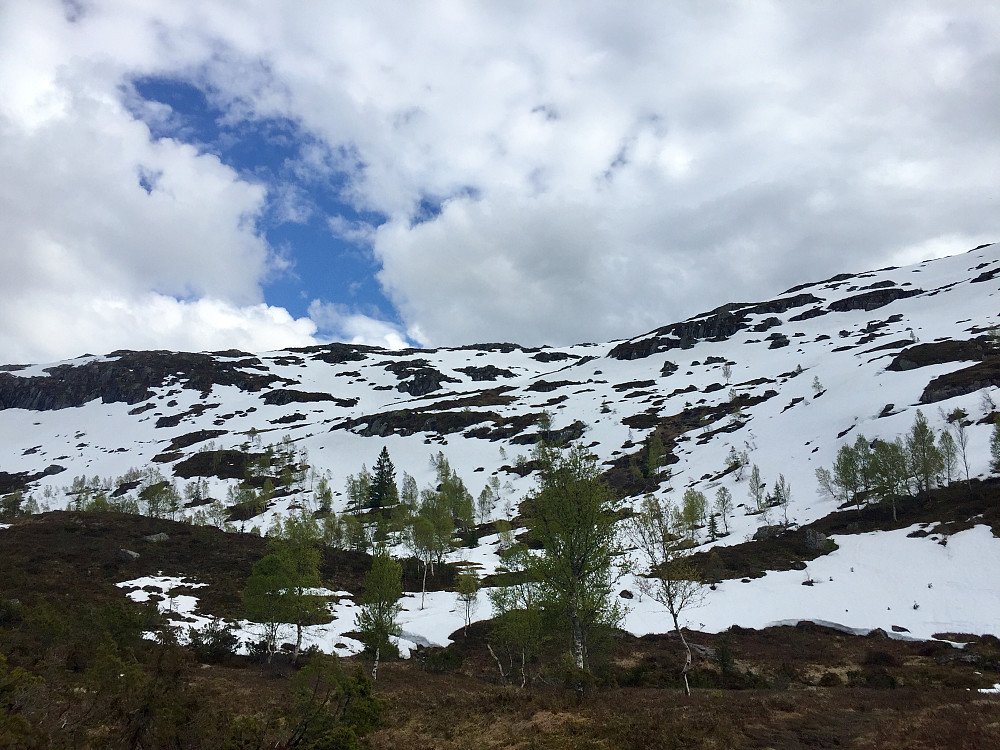 Snø fra Skibenessætra
