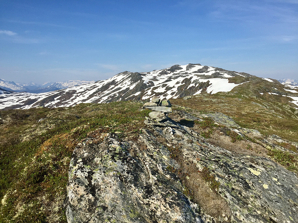Høgste Lotsbergnibba