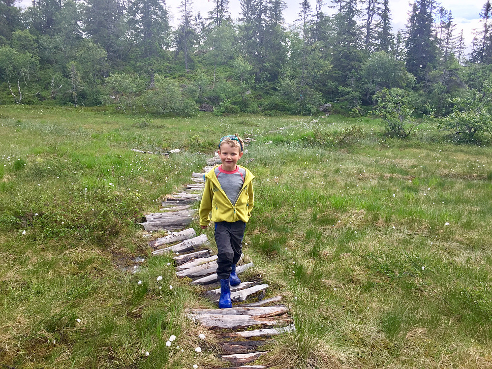 Våte stier mot Høgefjell, men Vinjar syntes det var en kjempeflott tur med mye artige moment underveis :-)