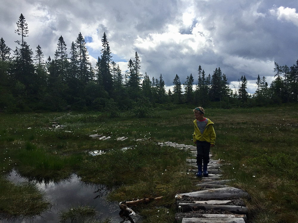 Våte stier mot Høgefjell, men Vinjar syntes det var en kjempeflott tur med mye artige moment underveis :-)