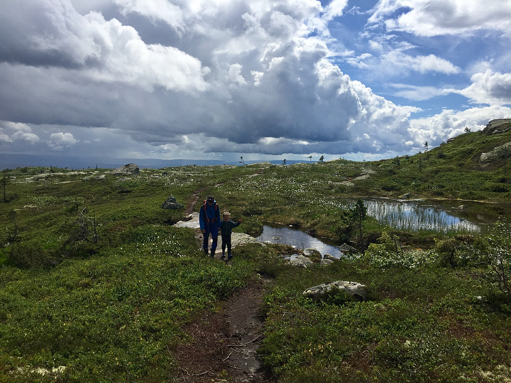 endelig litt over skoggrensa mot Høgefjell