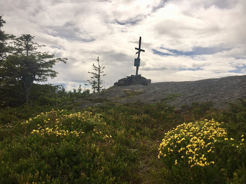 Fineste på toppen var tuene med Tiriltunge!