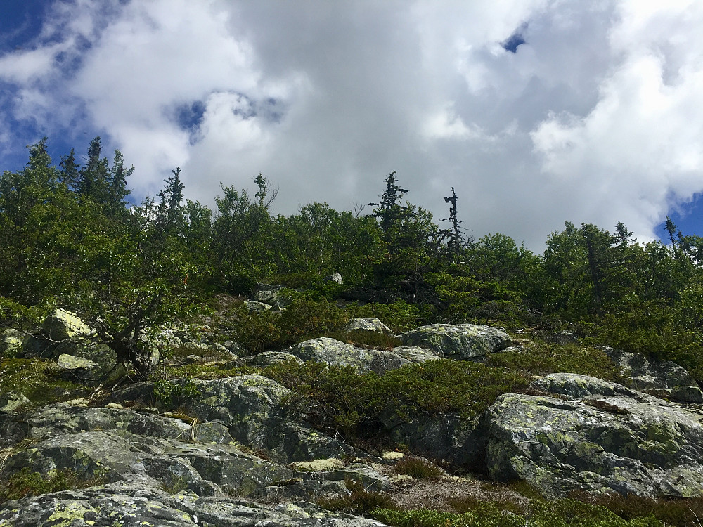 Endelig litt Berg under skoa