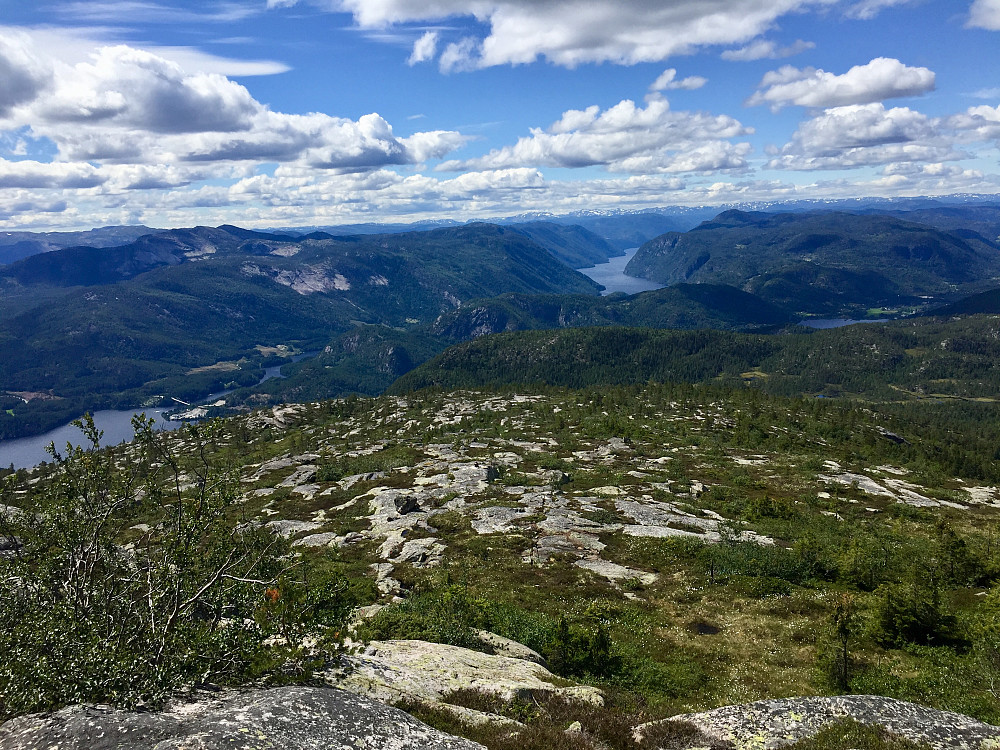 Endelig i mer åpent terreng etter mange km på skogssti