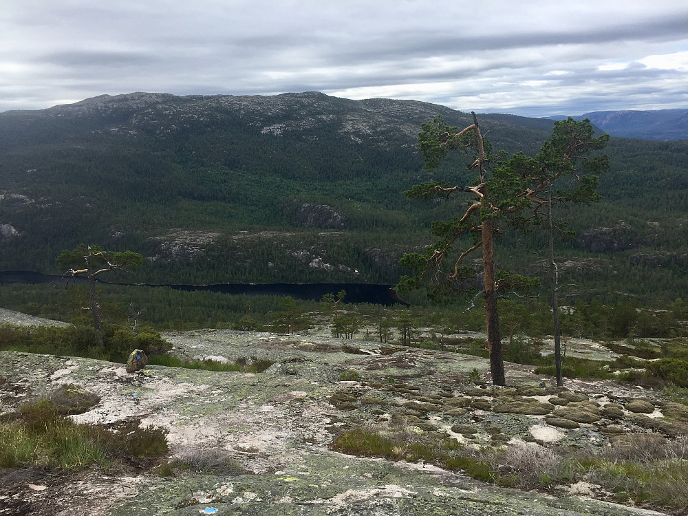 Flott og letgått terreng 