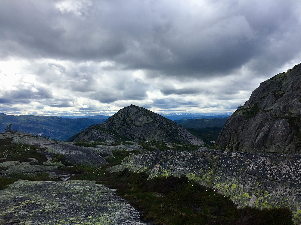 Mot vestre Roholtfjellet