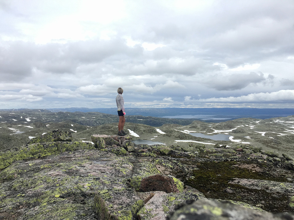 Utsikt fra Husnuten
