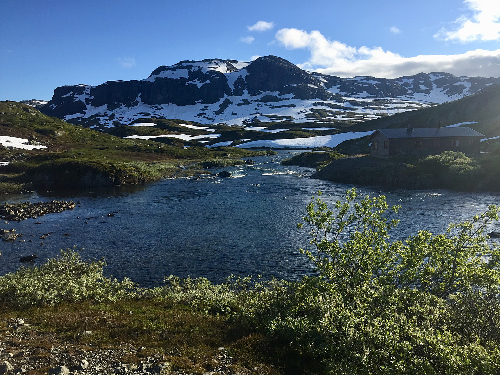 Etter turen kjørte vi opp mot Haukeli. Deilig å komme over tregrensa og opp på fjell igjen etter 3 uker i mye skogsterreng!!!