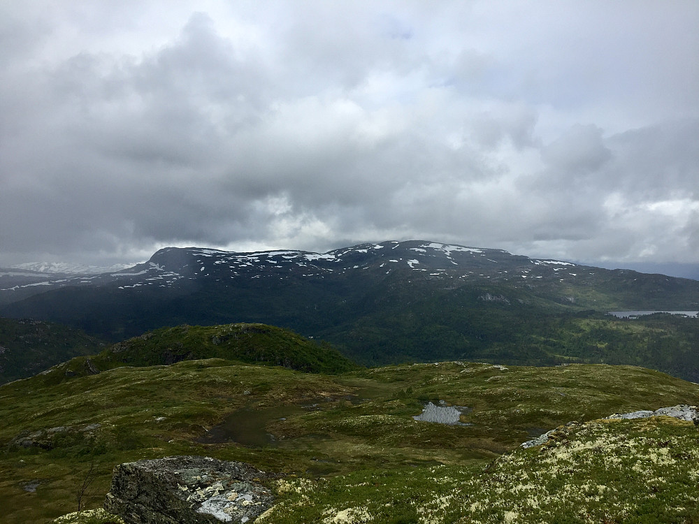 Grønehorgi hvor vi var i 2014