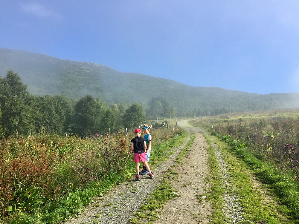 Kommer raskt over skodda fra Lotestøylen