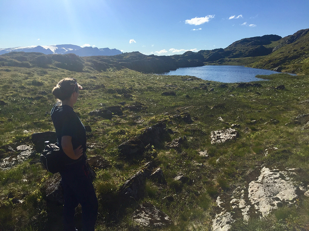 Fessevarden 