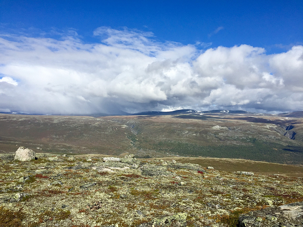 Finndalen