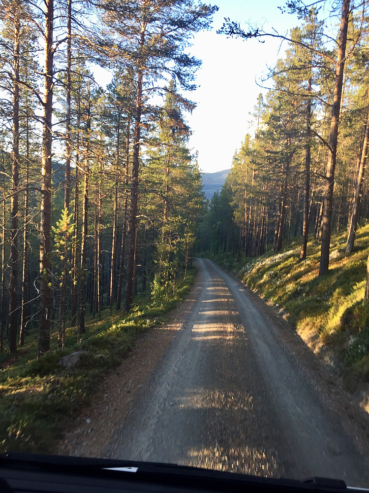 Den laaaange smale grusveien nedover fra Hovdasætrin