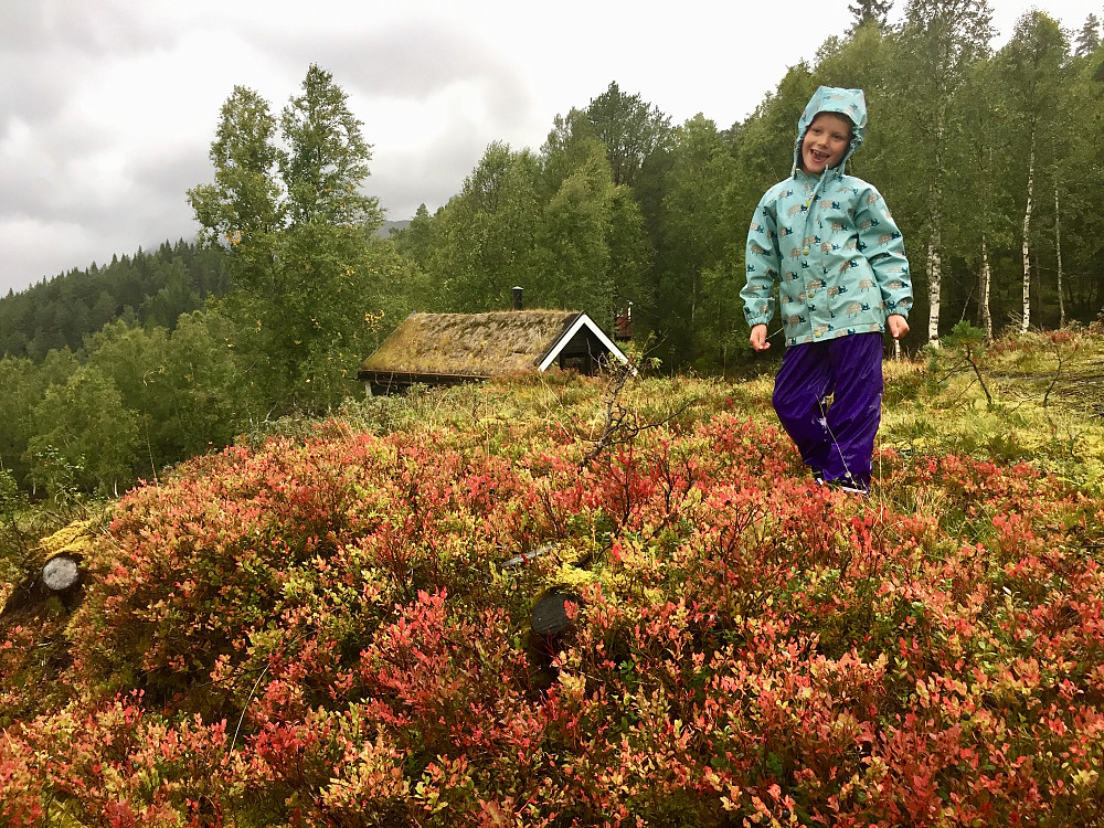 Lotsbergstøylen