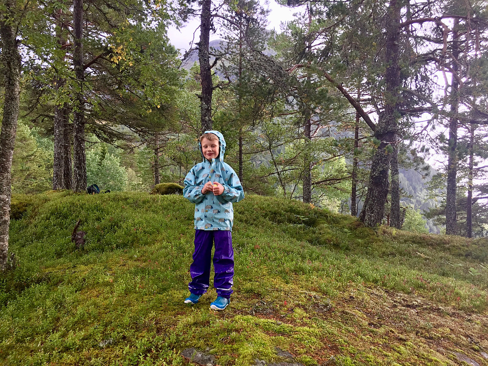 Ljøskarhaugen