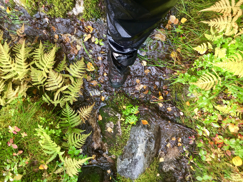 Deilig å få litt våte sko etter 8 tørre turdager i østom fjellet :-) Godt å kjøre i gang skotørkeren igjen !