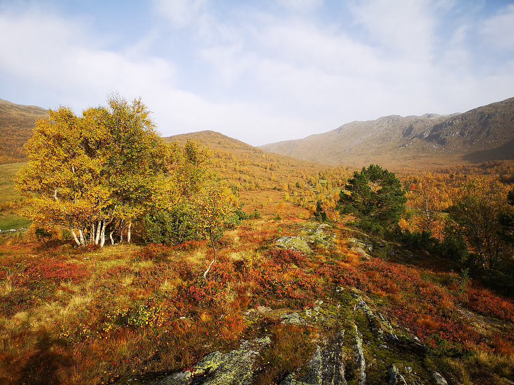 Fra Mistelhaugen mot Lotsbergdalen