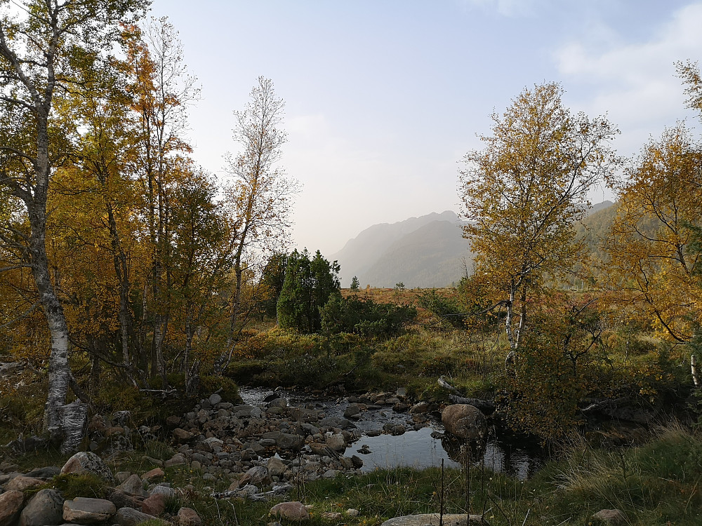 ved Lotsstøylen