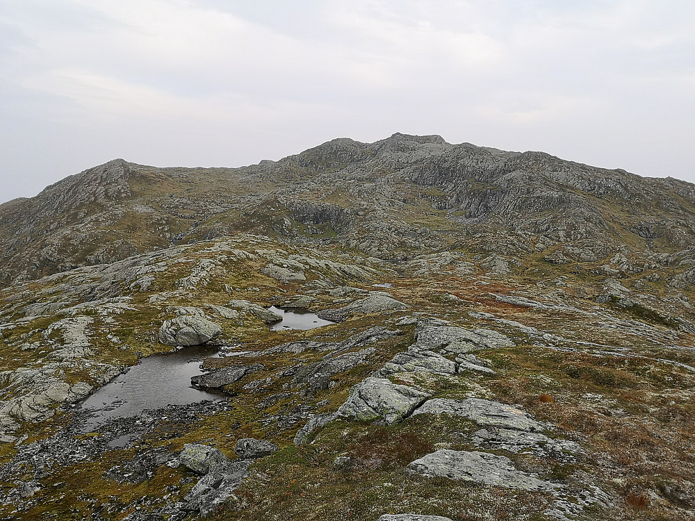 Fra Bustenakkjen mot Svartegga