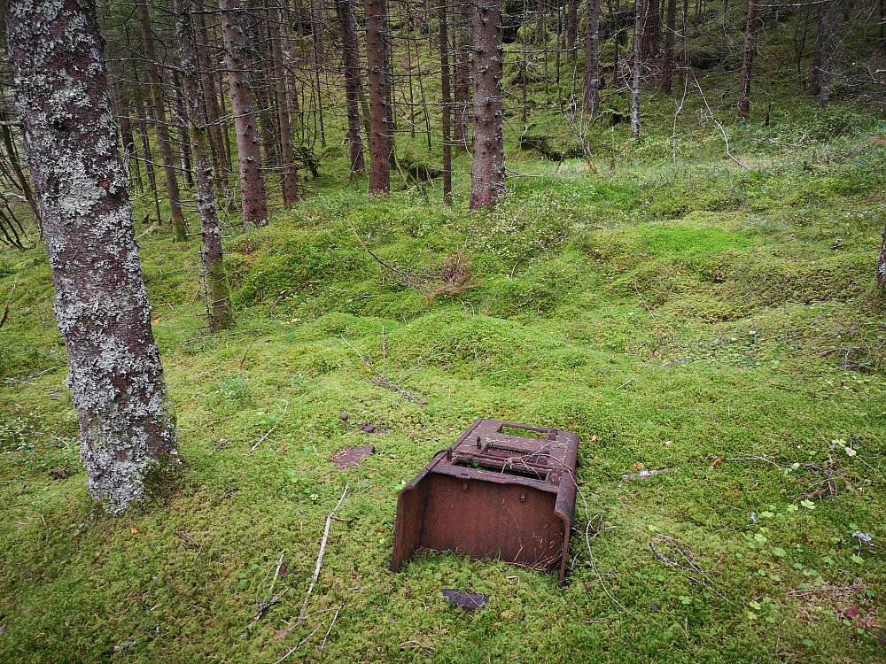 En avlagt ovn ved starten opp granskogen