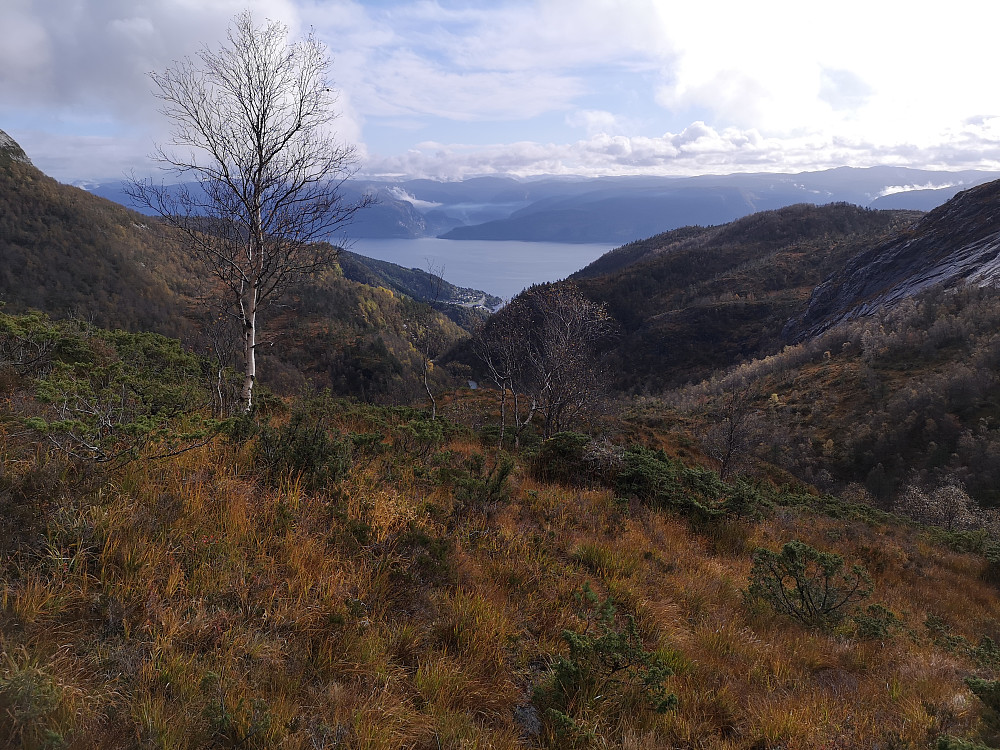På vei oppover med utsikt mot Lavik og Sognefjorden