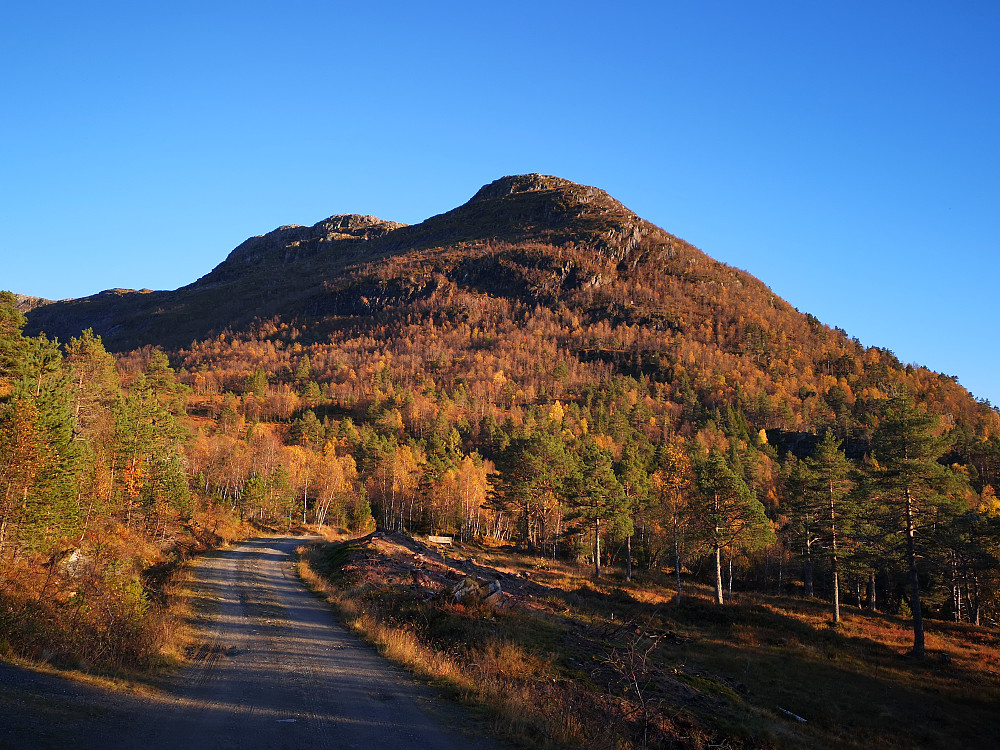 Lotsbergnibba fra Lotsbergstøylen 