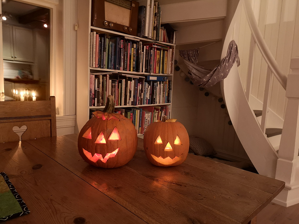 Prinsipielt imot hele Halloweenfeiringen, men kjekk kveldsyssel sammen med Vinjar med å skjære ut gressksr