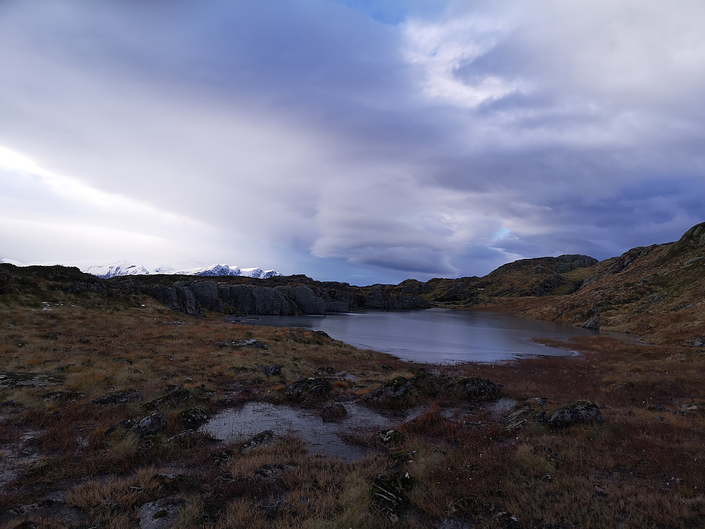 Fessevarden