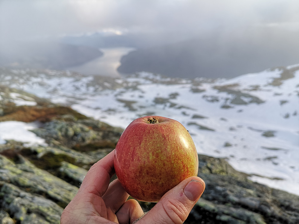 Nyt norsk