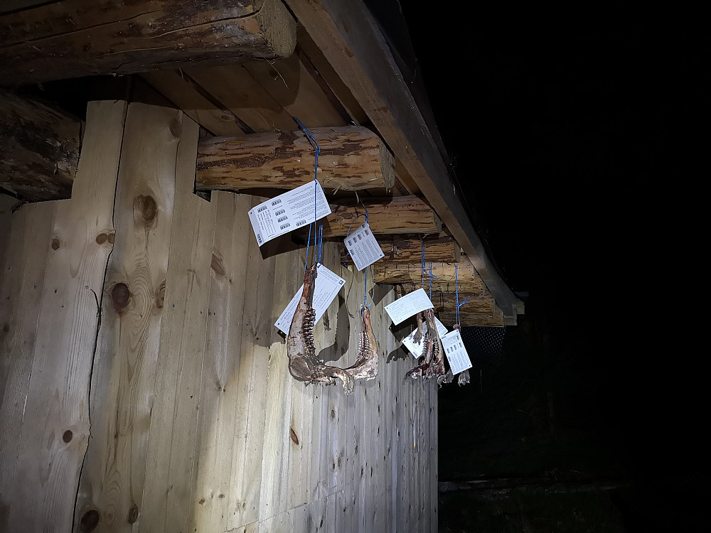 Reveskrotter som henger ved stistarten
