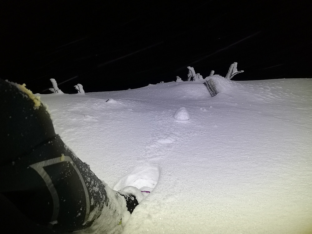 Deilig nysnø