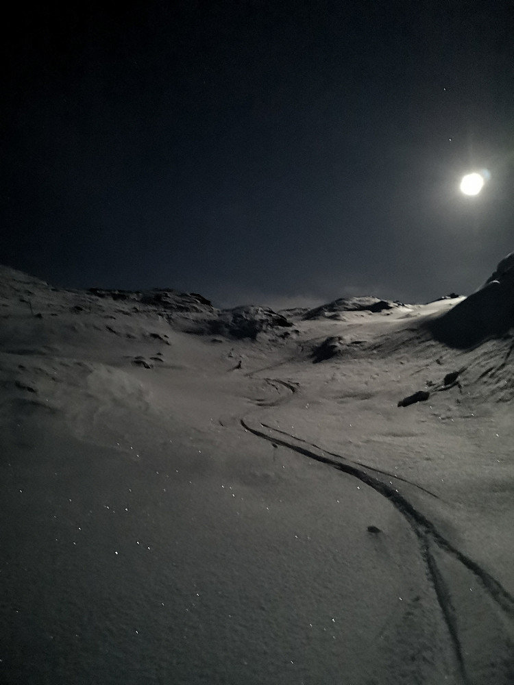 Gnistrende slottet forhold for fjelltelemark 