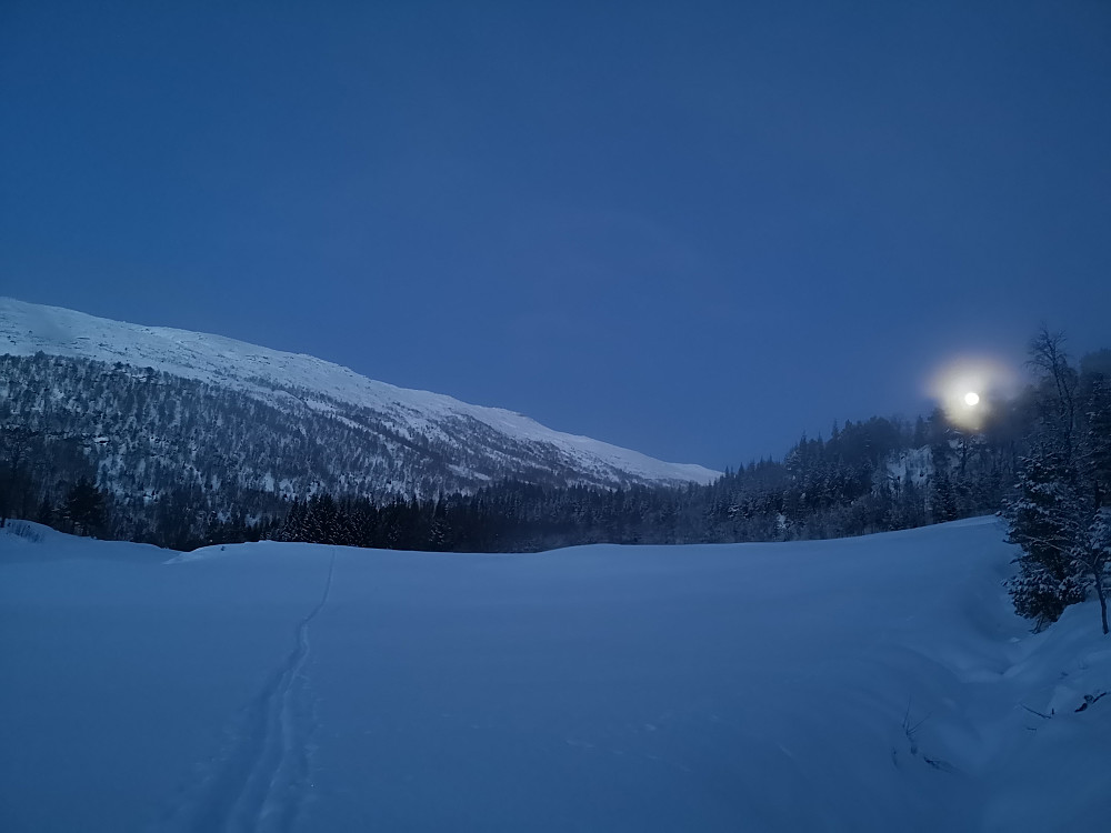 Møter månen på Myrane 
