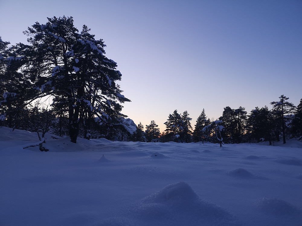 Ljøskarhaugen 