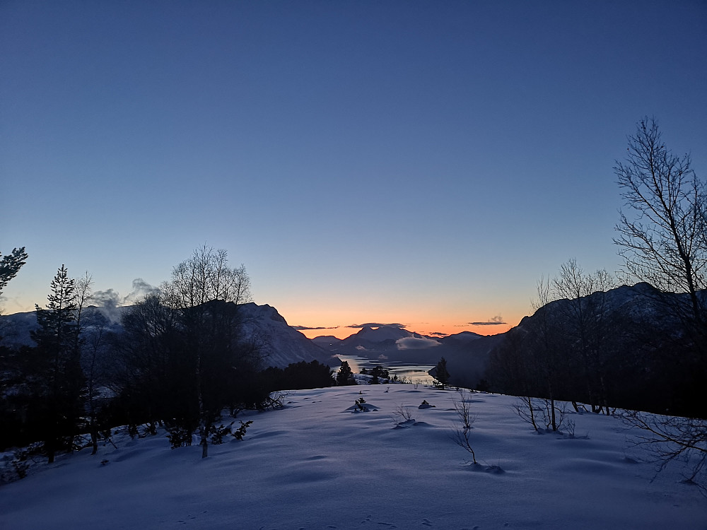 Mistelhaugen