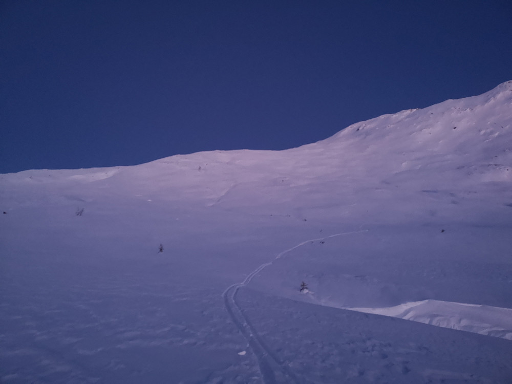 Kvitelvebakkane 