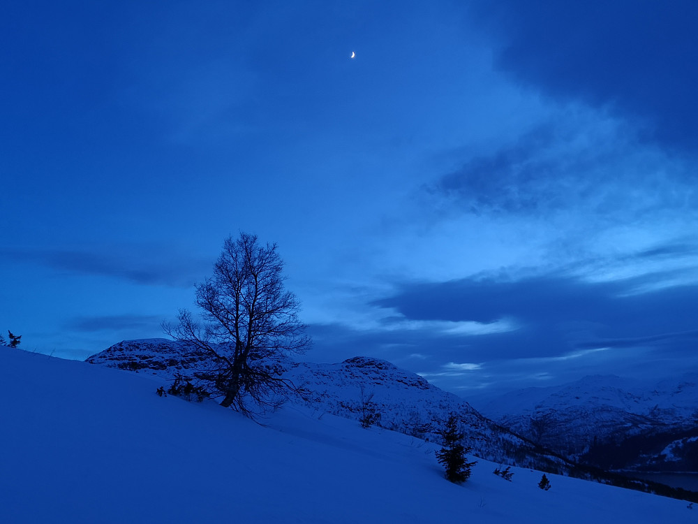 nymåne over Lotsbergnibba