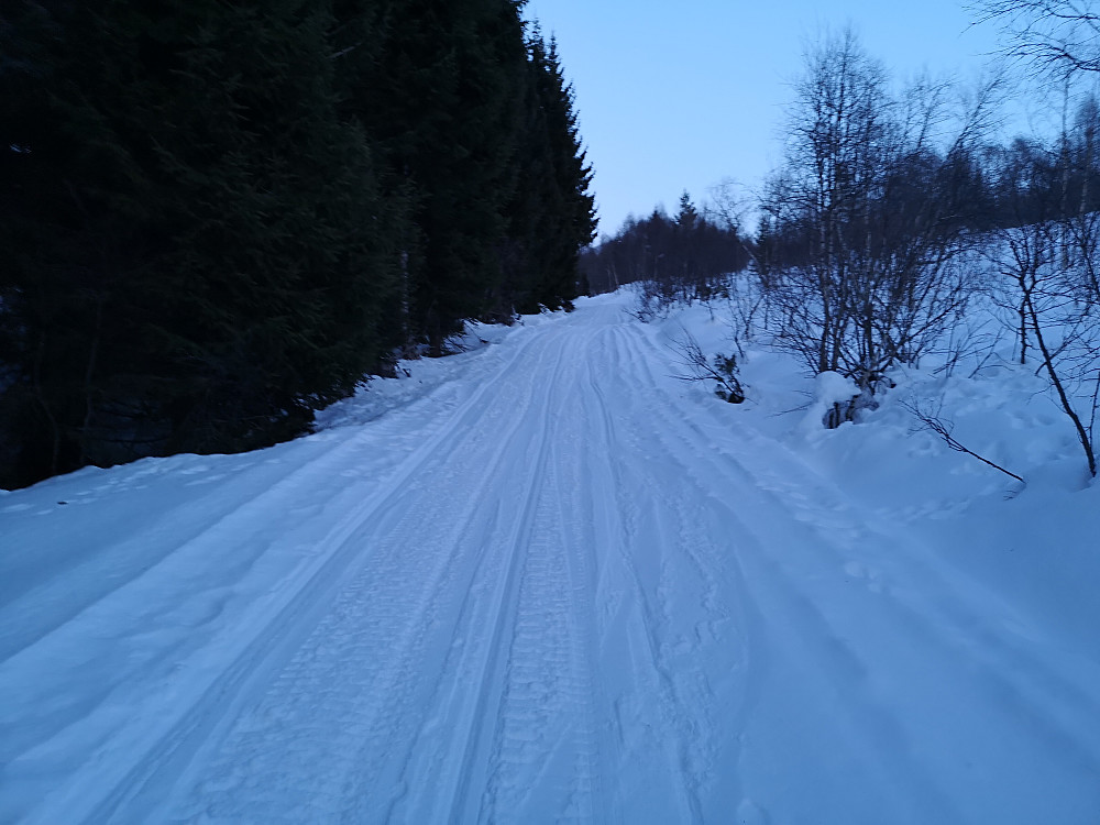 Jauda, har vært scootertrafikk oppover mot Lotsstøylen i dag også...