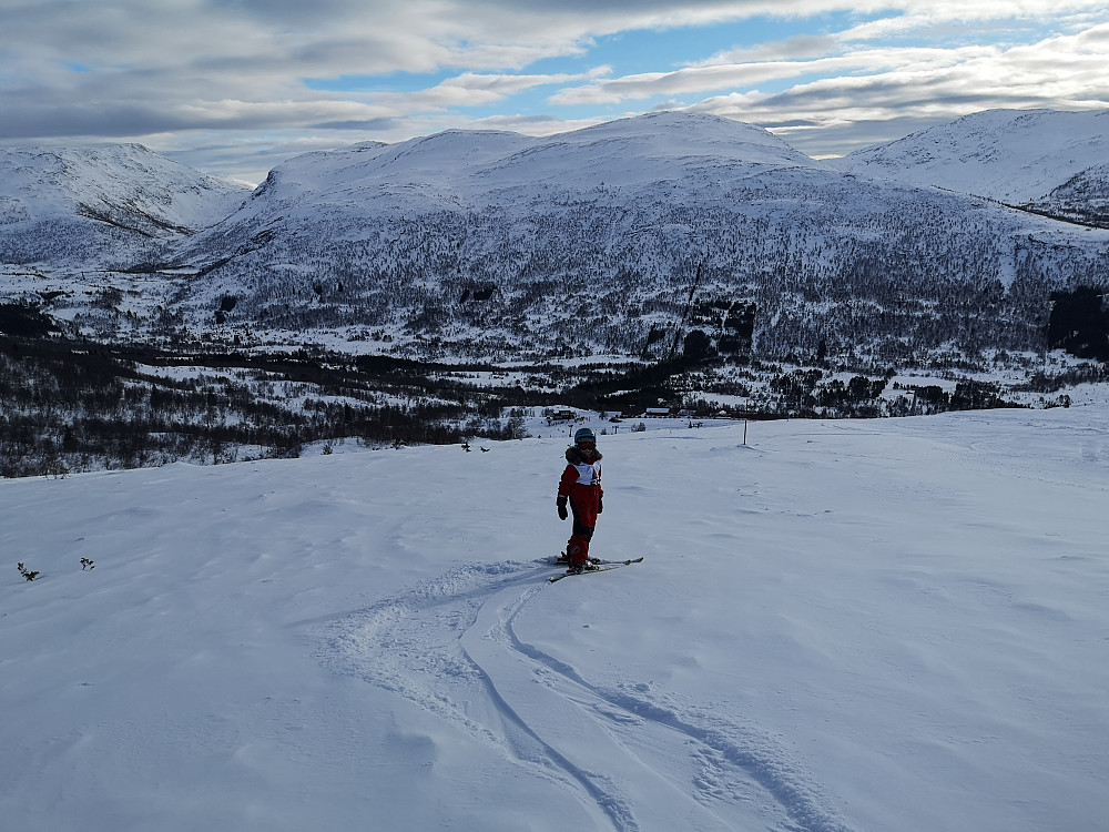 Vinjar på Furuhogane