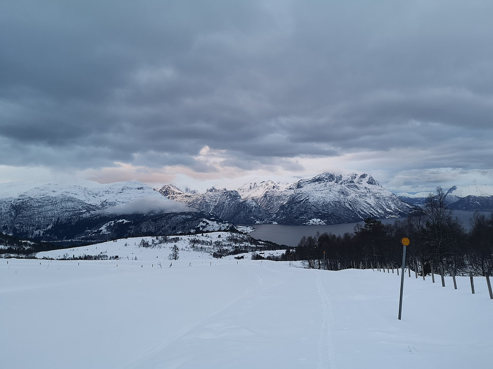 Endelig solospor i nysnøen