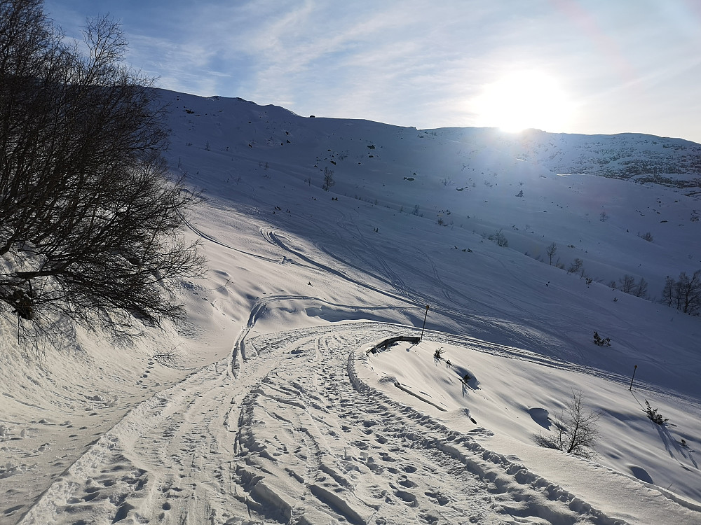Kjølig morgenstart