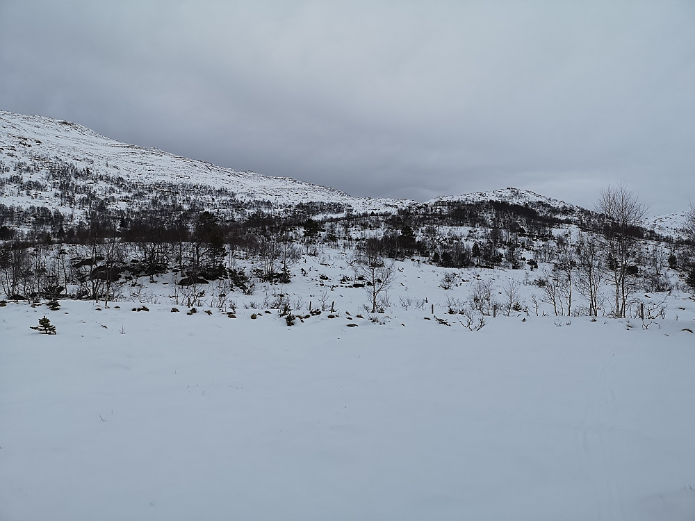 Mye småskog å renne ned i, med såpass lite snø i Lotsbergdalen