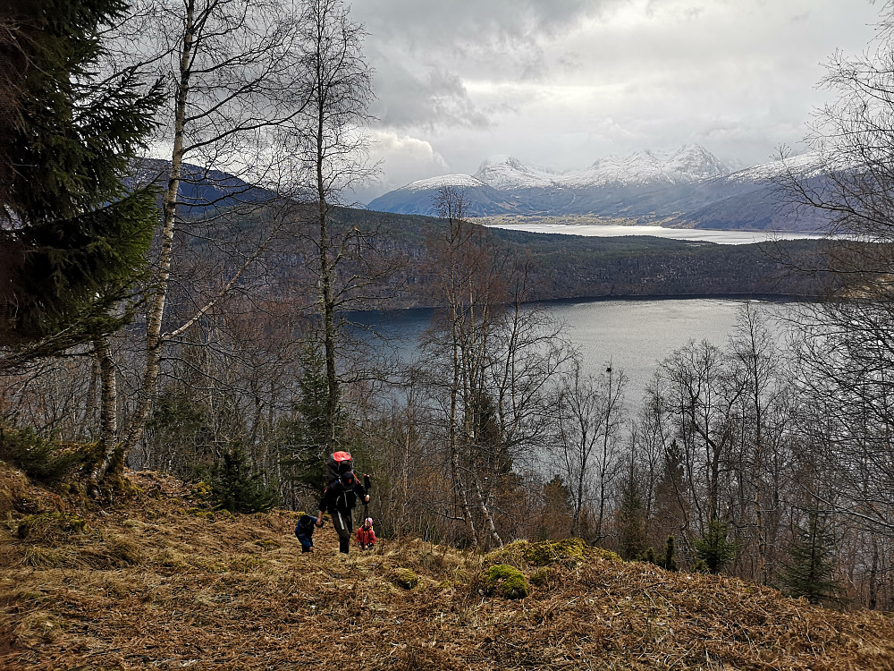 Vi tok en interessant snarvei opp til Øvre, vår egen lille ekspedisjon!
