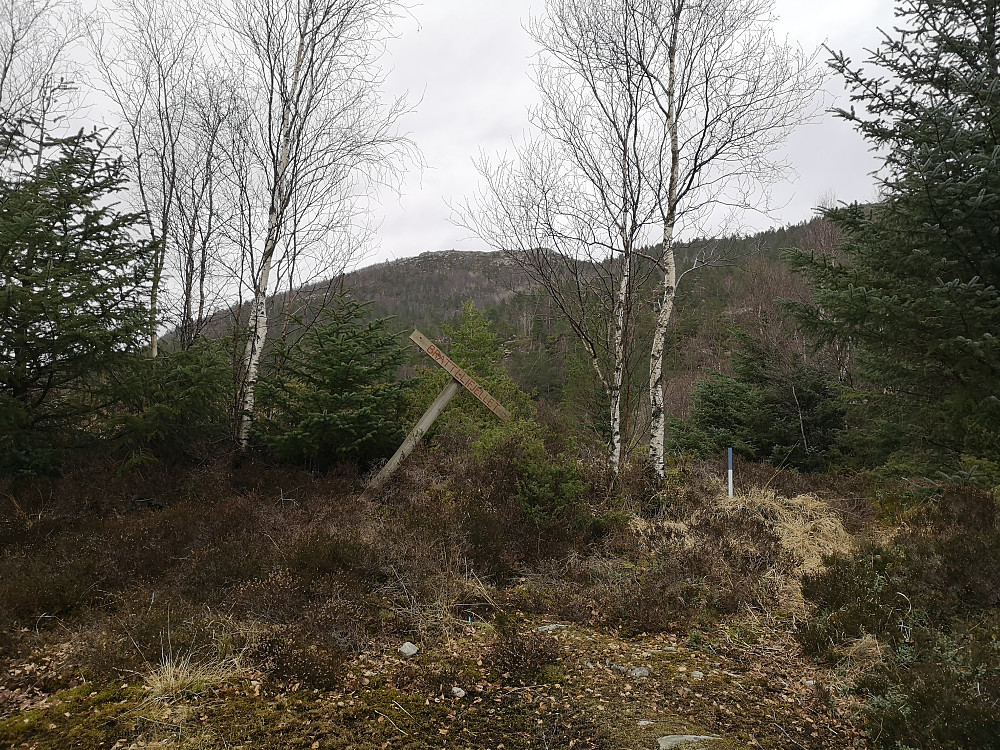 Stistart