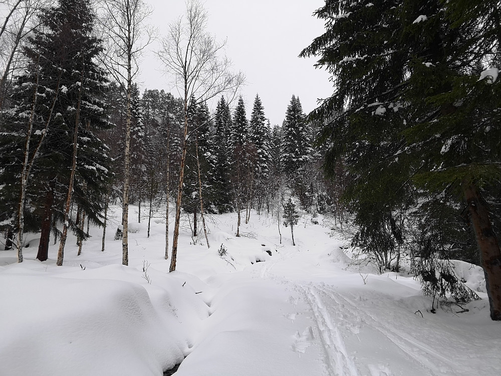 Hadde ikke trodd jeg skulle få renne på ski over ljøskaret flere ganger i år, men slik ble det!!