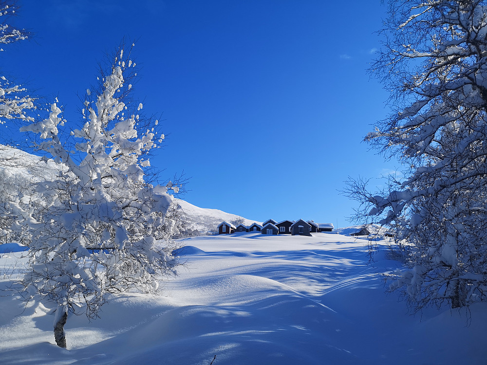 Flotte Lotsstøylen