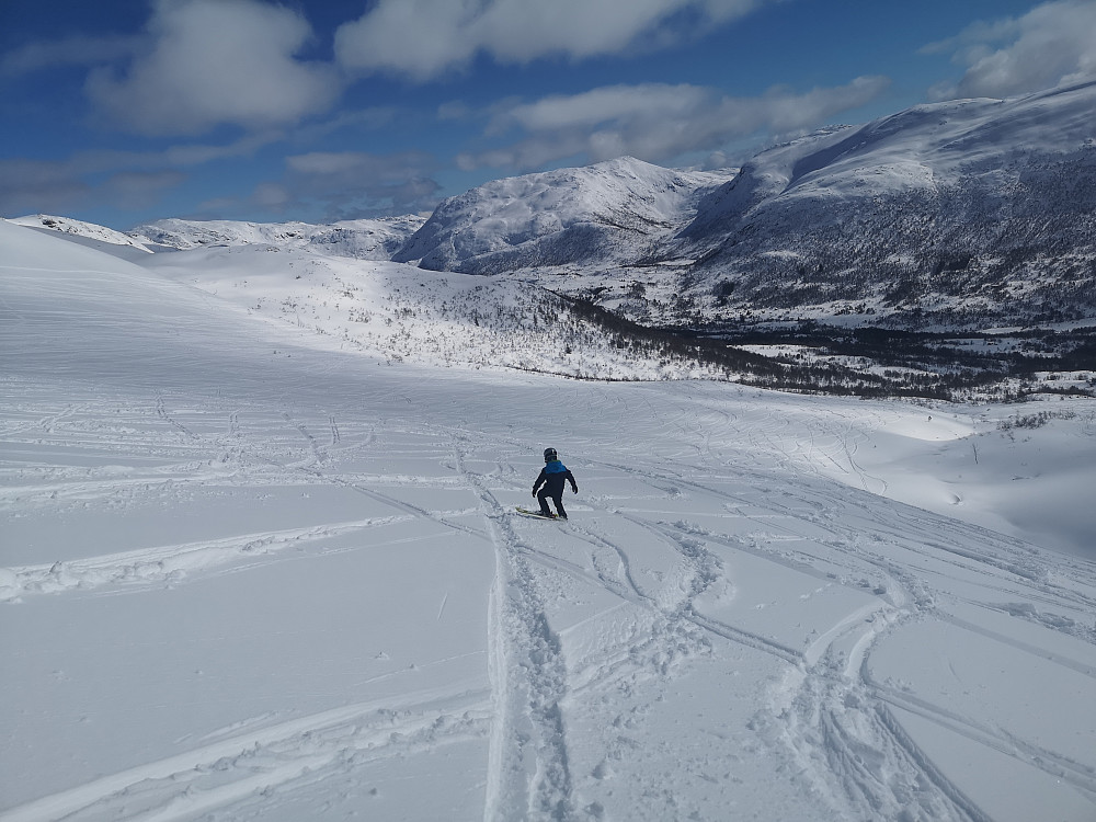 Vinjar i flotte forhold på Furuhogane, Harpefossen