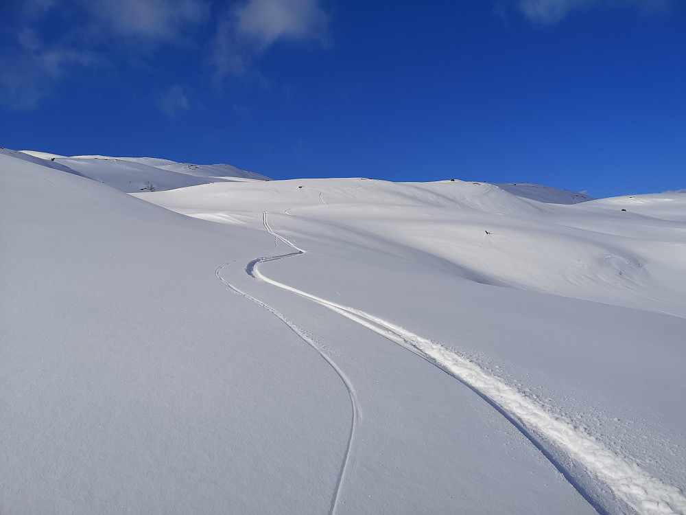 Herlig snø ned fra Revureholten mot Lotsbergdalen